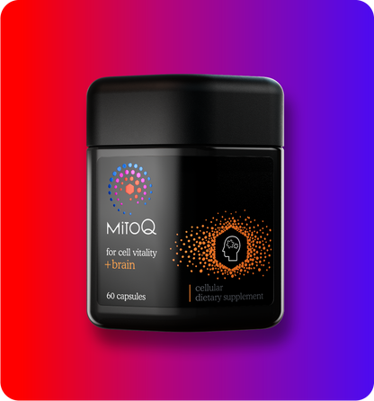 MitoQ +brain