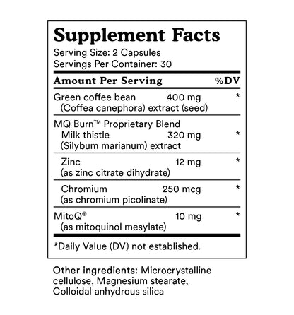 MitoQ +liver metabolism