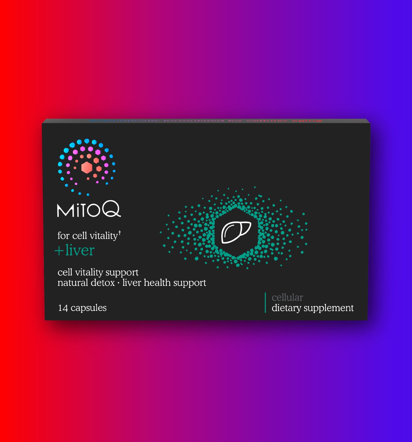 MitoQ liver mini